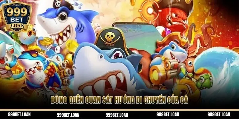 Đừng quên quan sát hướng di chuyển của cá